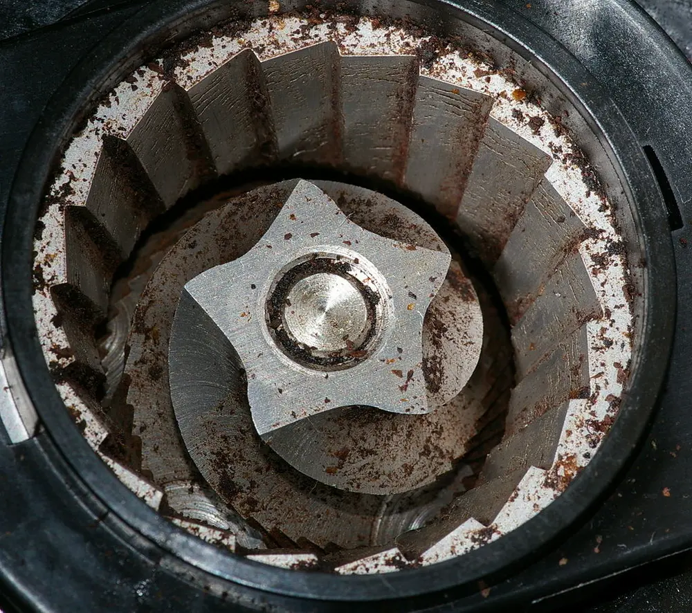 Conical Burrs